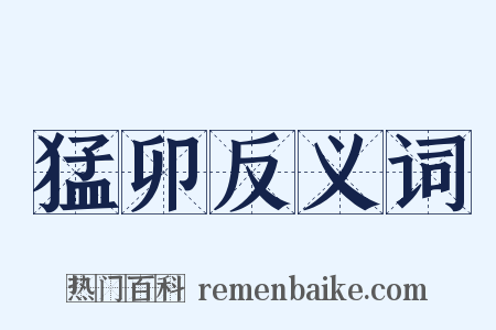 猛卯反义词是什么意思的图片